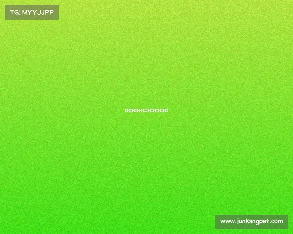 丙级赛事标准-篮球丙级联赛算什么水平