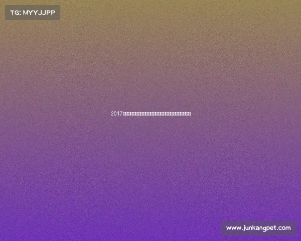 2017年度激情马拉松赛事奔跑挑战荣耀时刻市民踊跃参与盛况空前