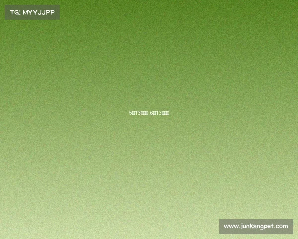 5月13日赛事_6月13号比赛