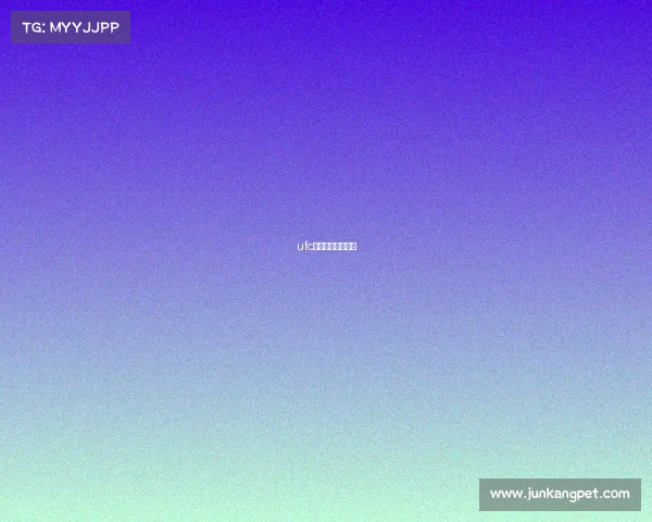 ufc最新赛事奇马耶夫