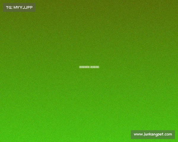 冰壶赛事有哪些 冰壶比赛是啥