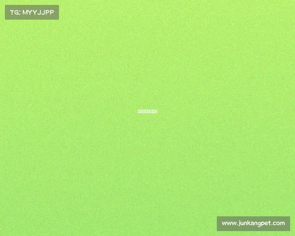 直播篮球赛事今天