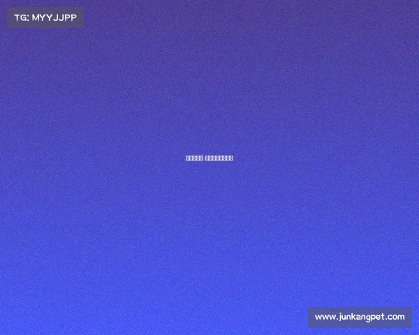 斯帕尔赛事-斯帕尔是什么意思